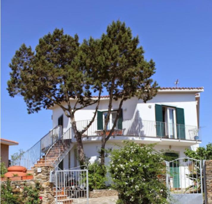 Il Ginepro Di Stintino Bed & Breakfast Екстериор снимка